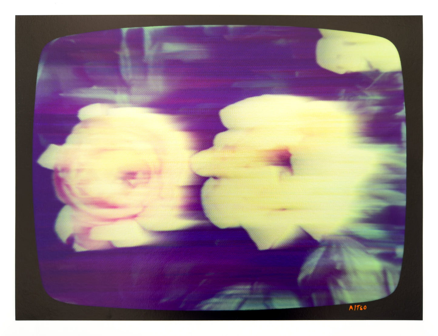 Flowers for Ikegami - FL01•G0001