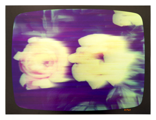 Flowers for Ikegami - FL01•G0001