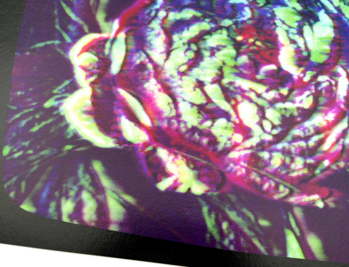 Flowers for Ikegami - FL02•G0043