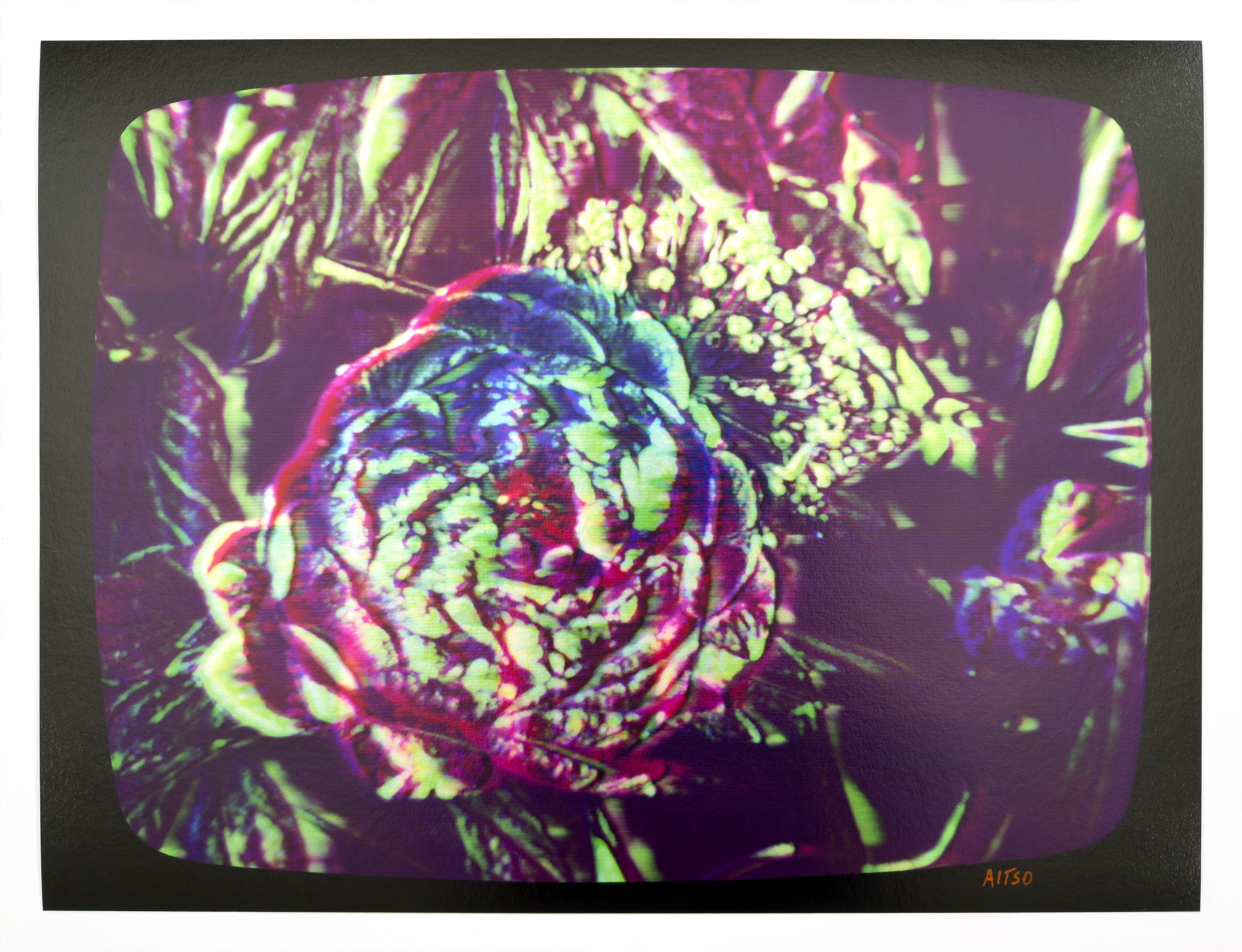 Flowers for Ikegami - FL02•G0043 – aitso