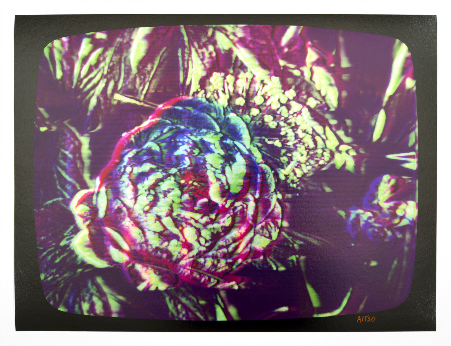 Flowers for Ikegami - FL02•G0043