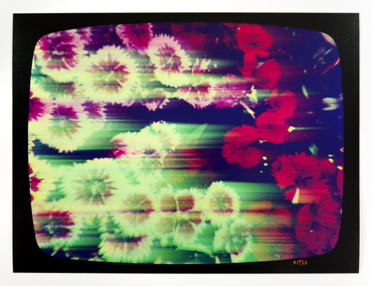 Flowers for Ikegami - FL11•G0204