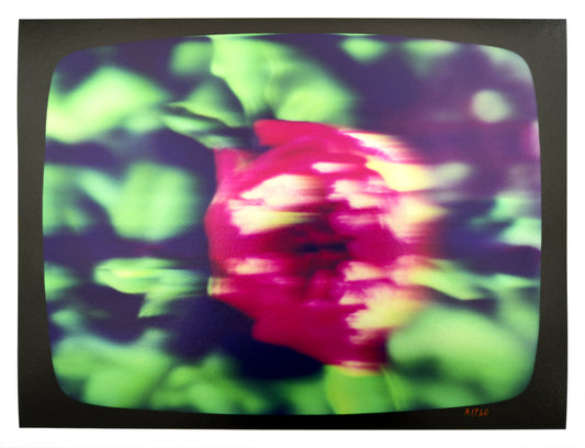 Flowers for Ikegami - FL20•G0403