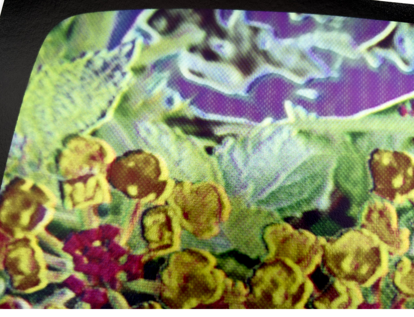 Flowers for Ikegami - FL21•G0423