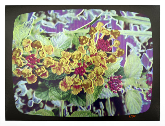 Flowers for Ikegami - FL21•G0423