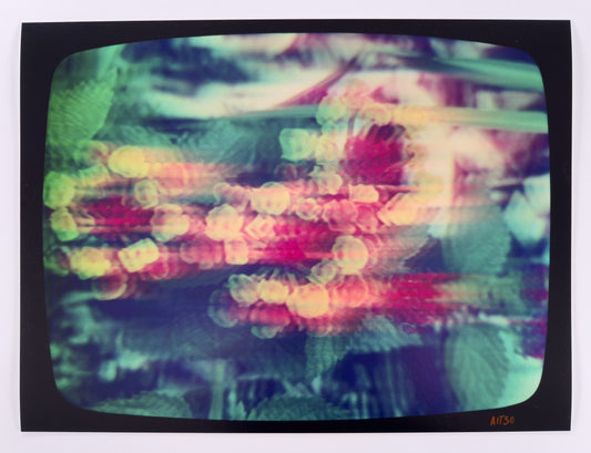 Flowers for Ikegami - FL21•G0444