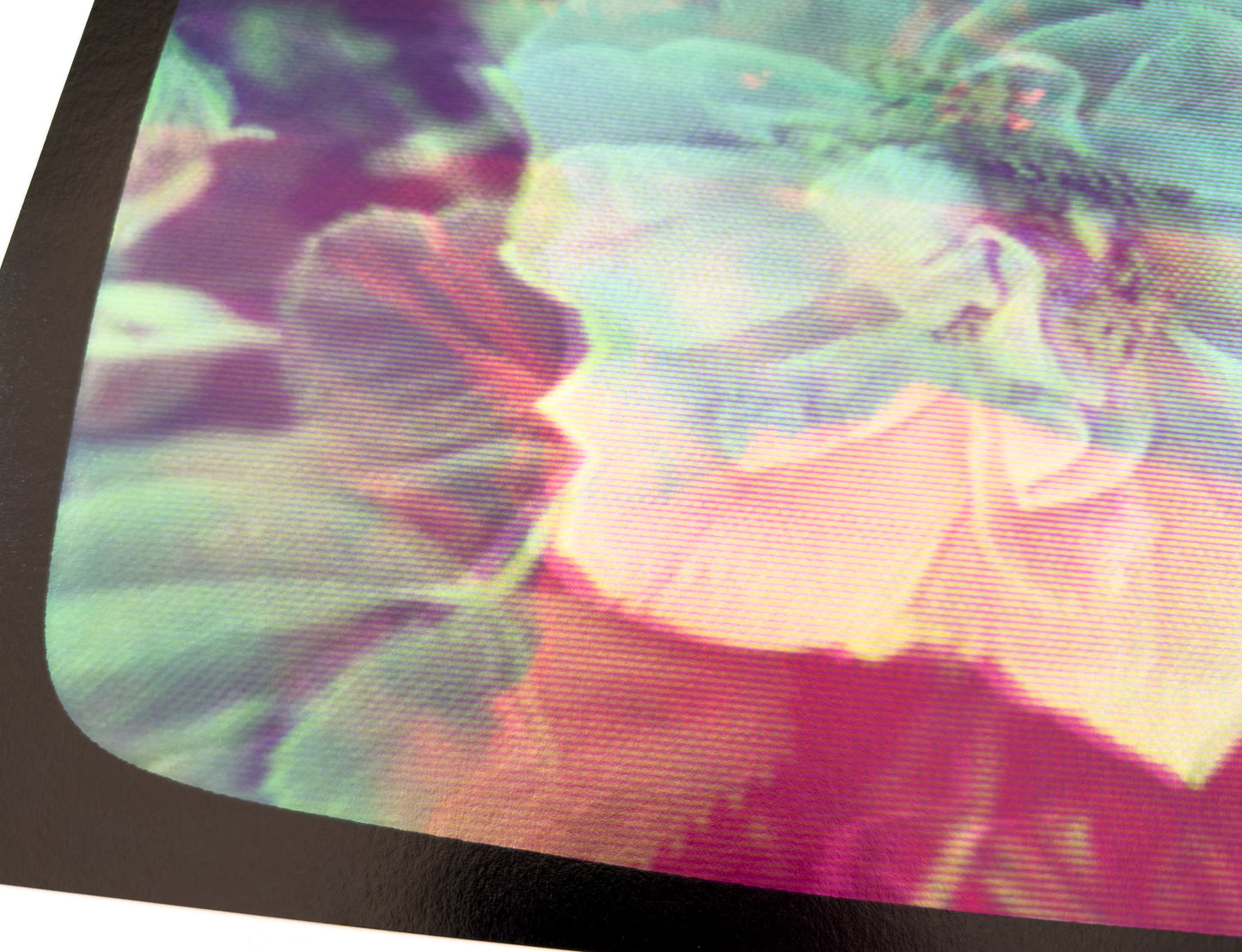 Flowers for Ikegami - FL31•G0645