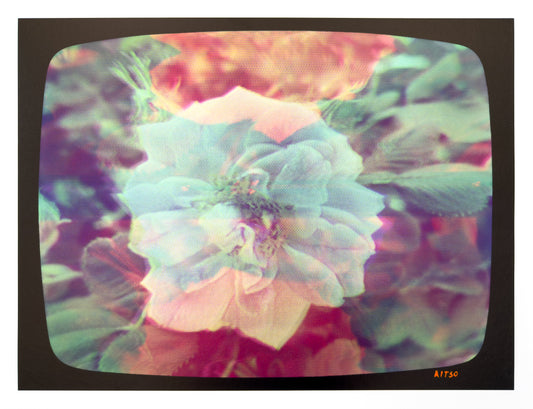 Flowers for Ikegami - FL31•G0645