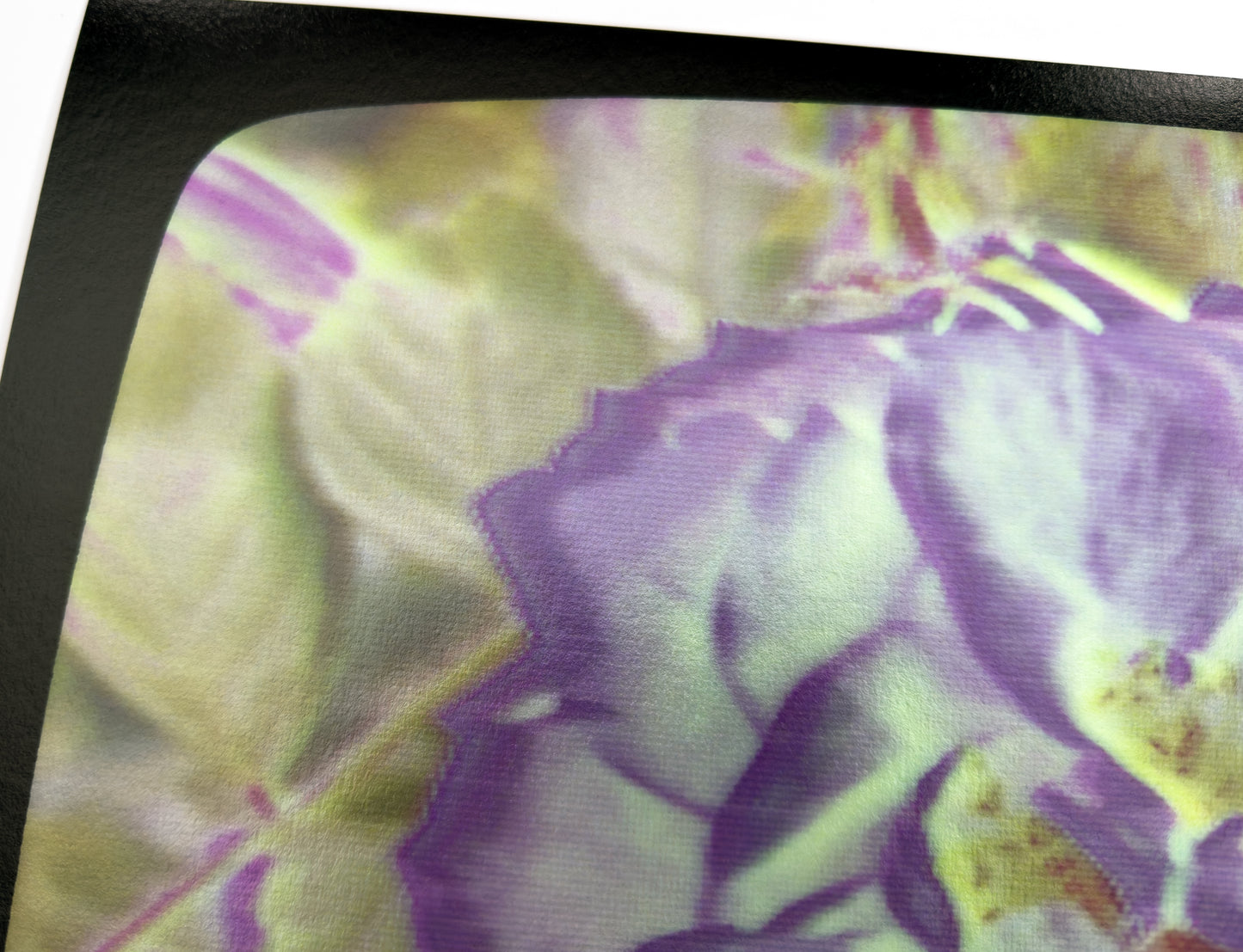 Flowers for Ikegami - FL32•G0679