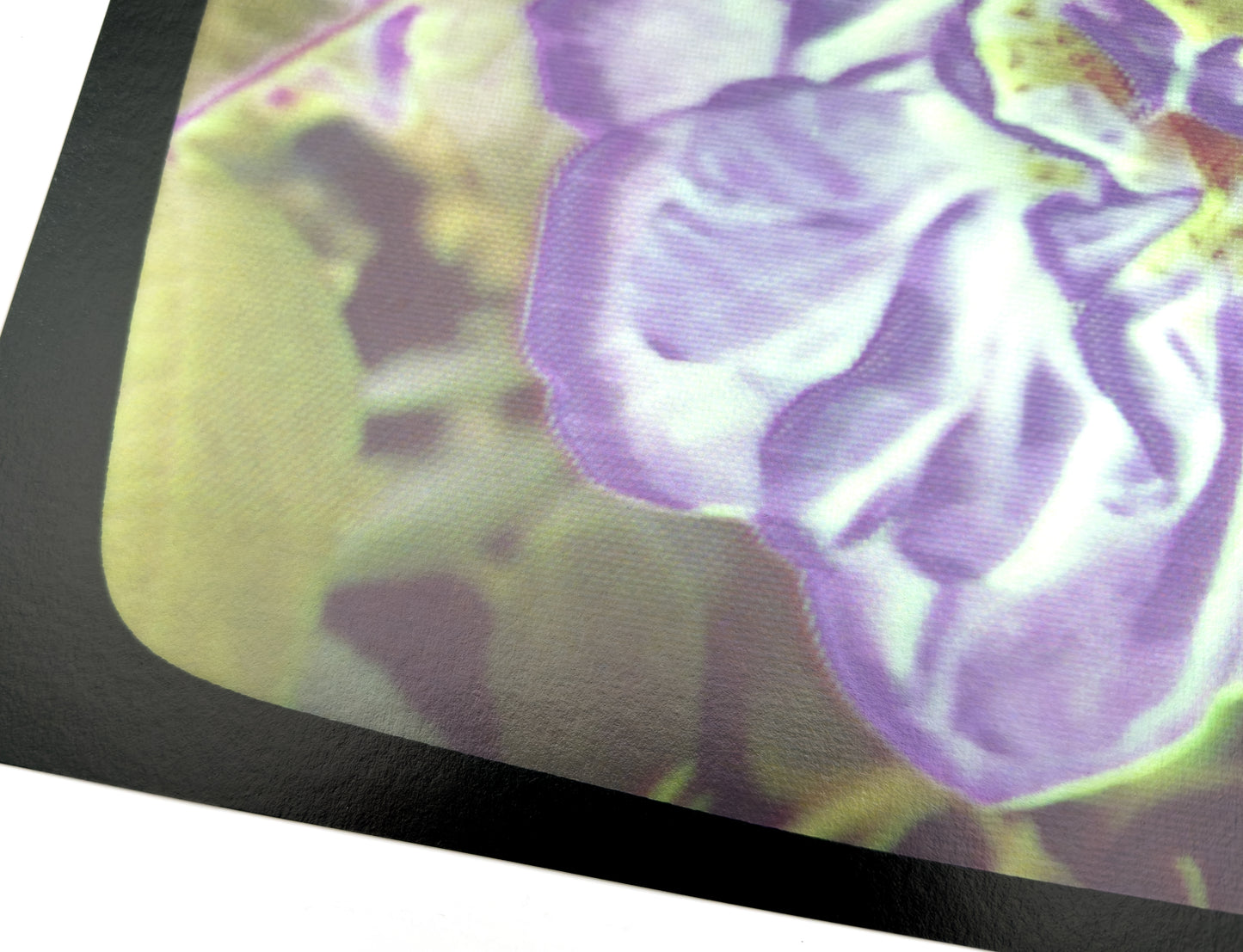 Flowers for Ikegami - FL32•G0679