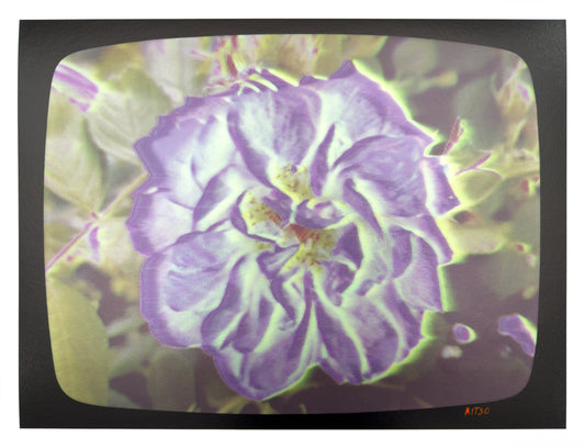 Flowers for Ikegami - FL32•G0679