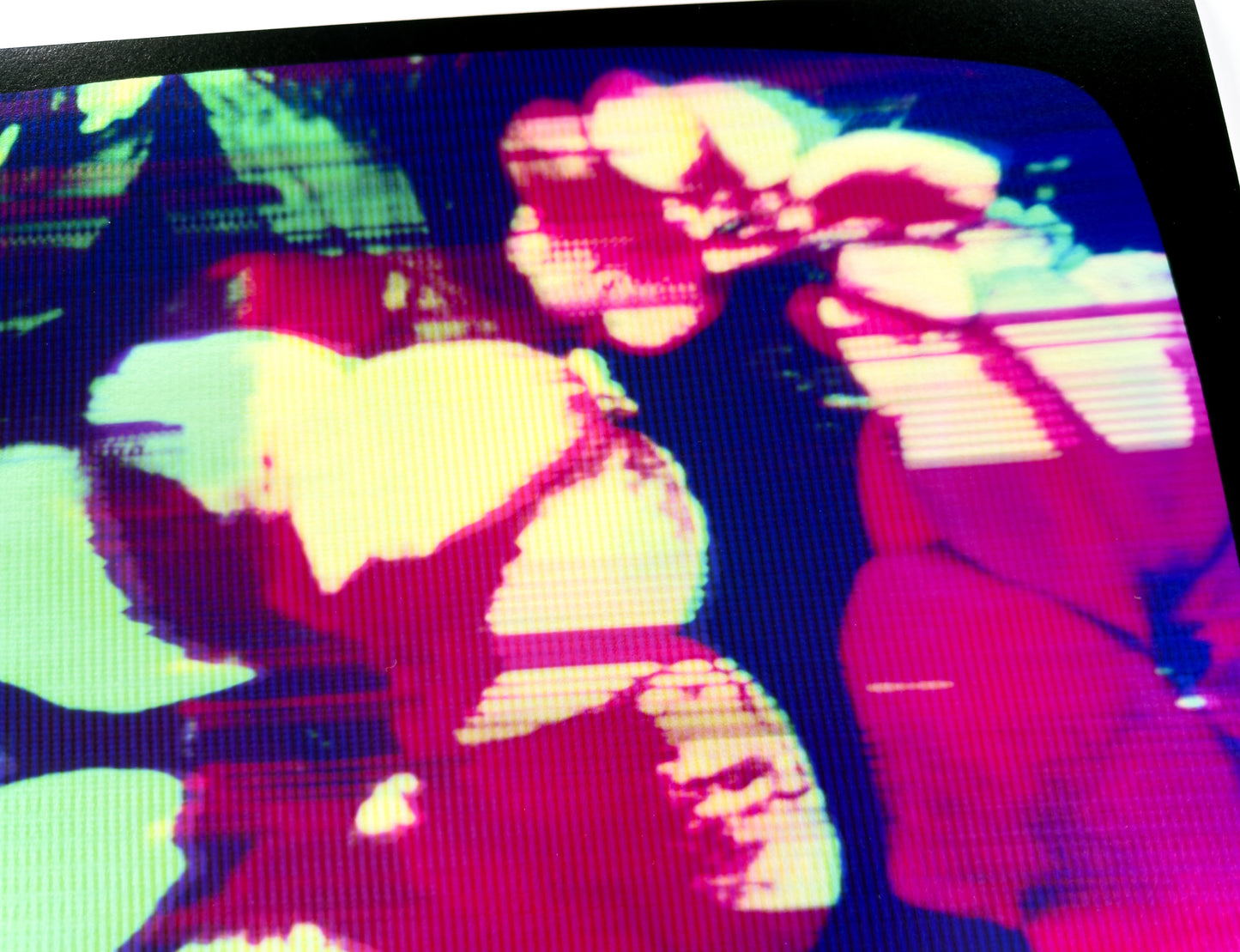 Flowers for Ikegami - FL36•G0750