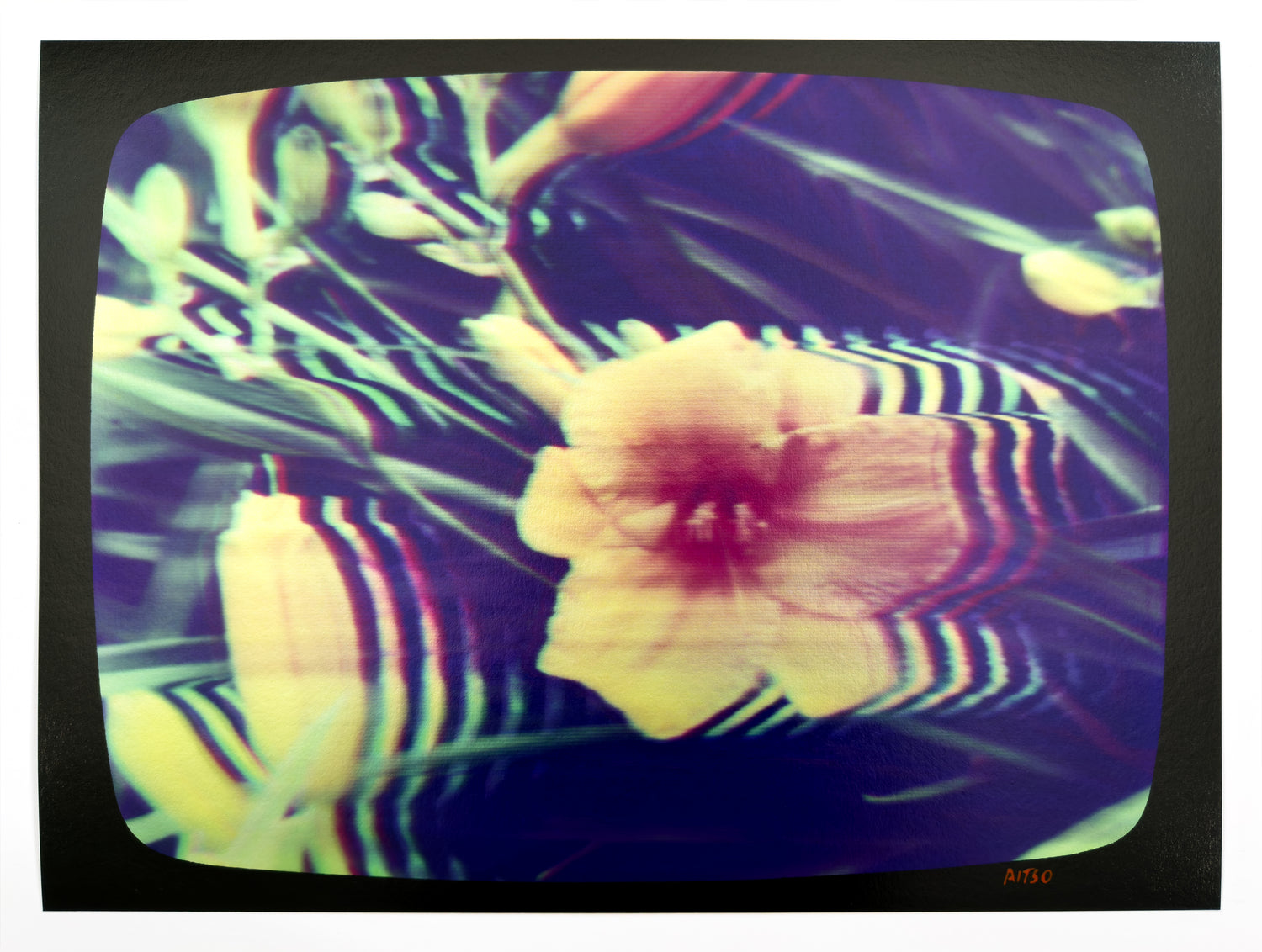 Fine Art Prints