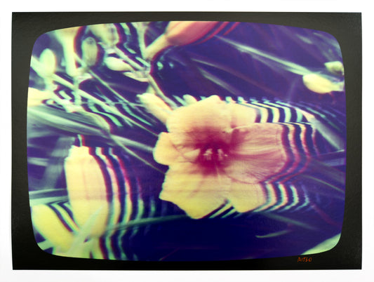 Flowers for Ikegami - FL43•G0864