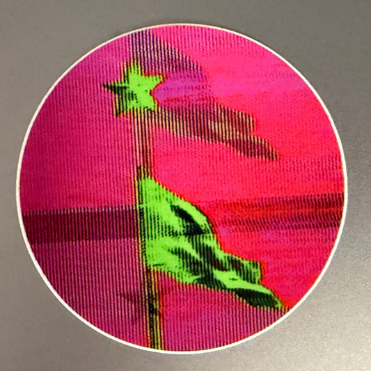 green flag circle sticker