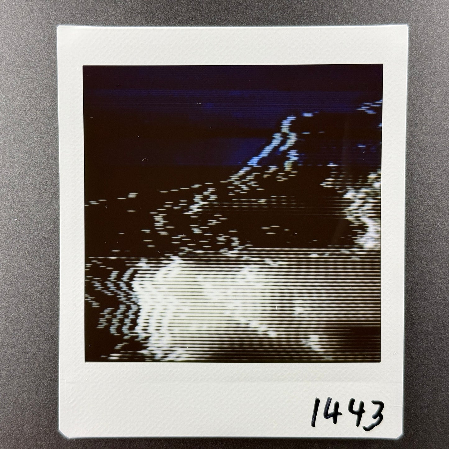 1443