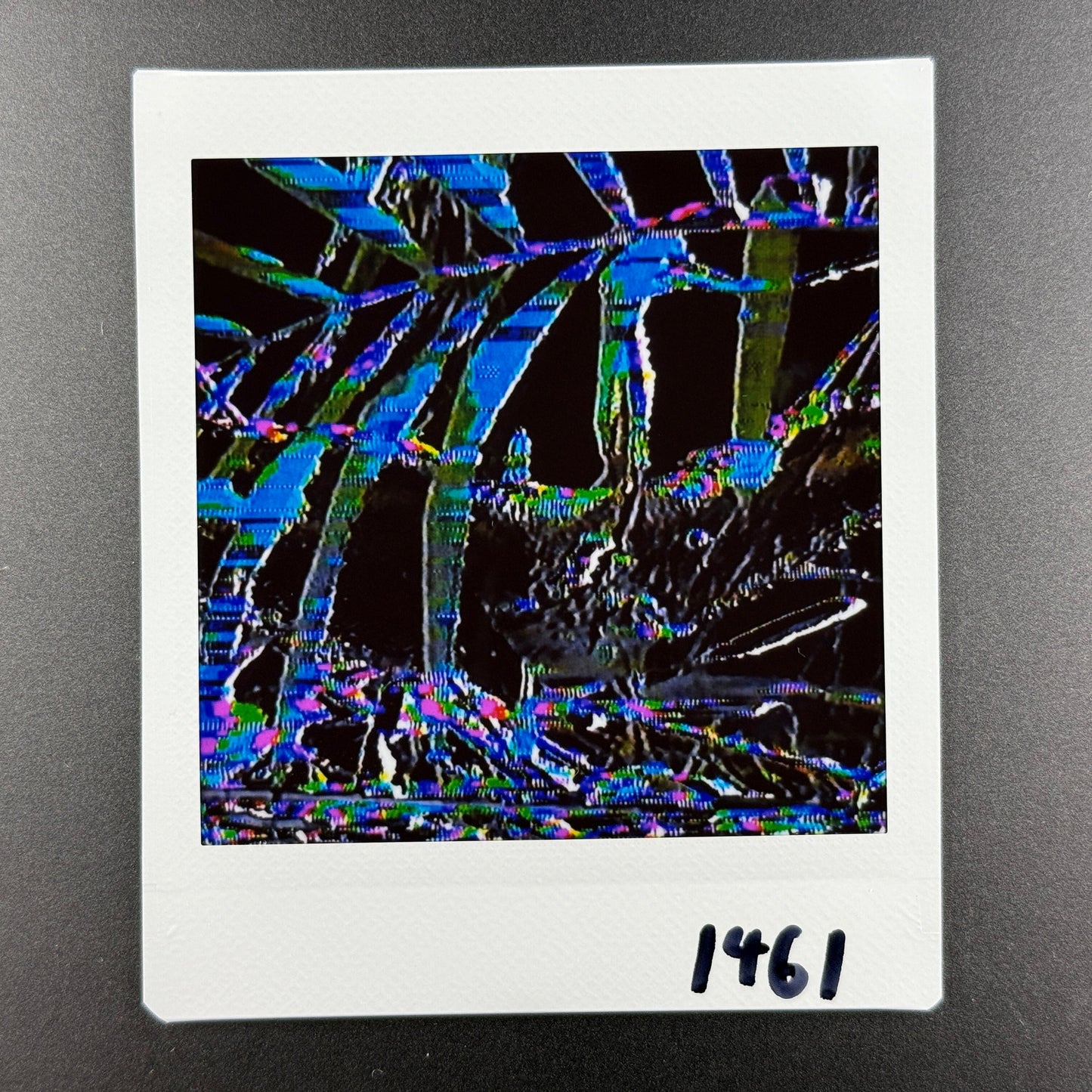 1461