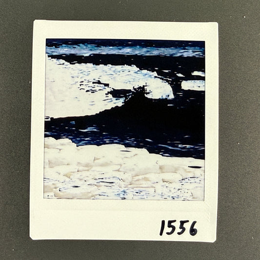 1556