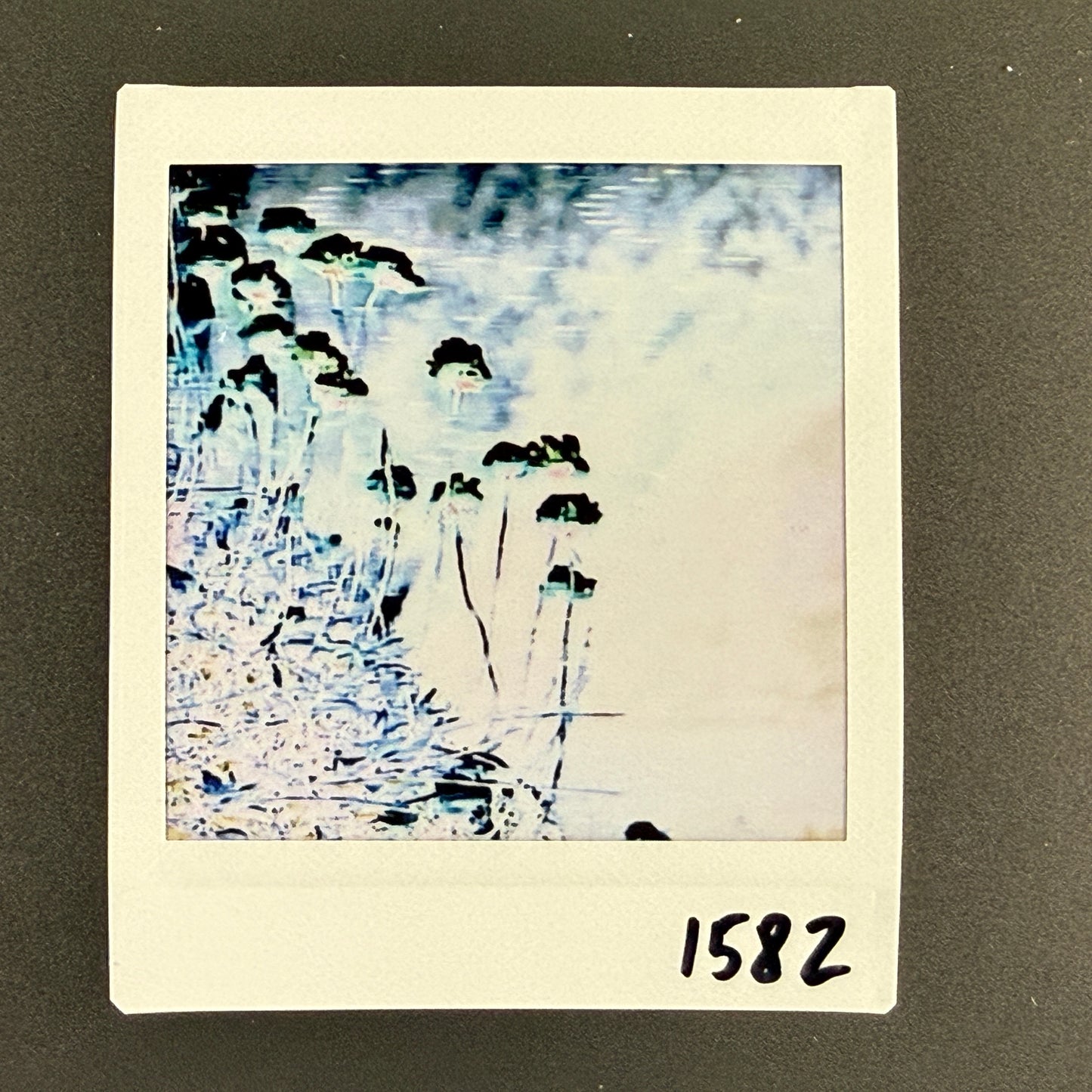 1582