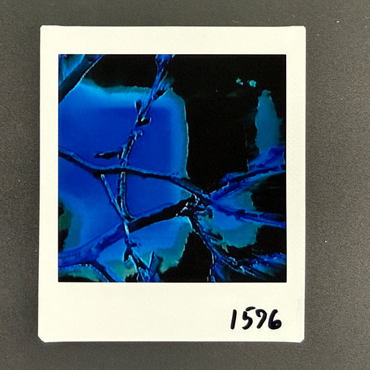 1596