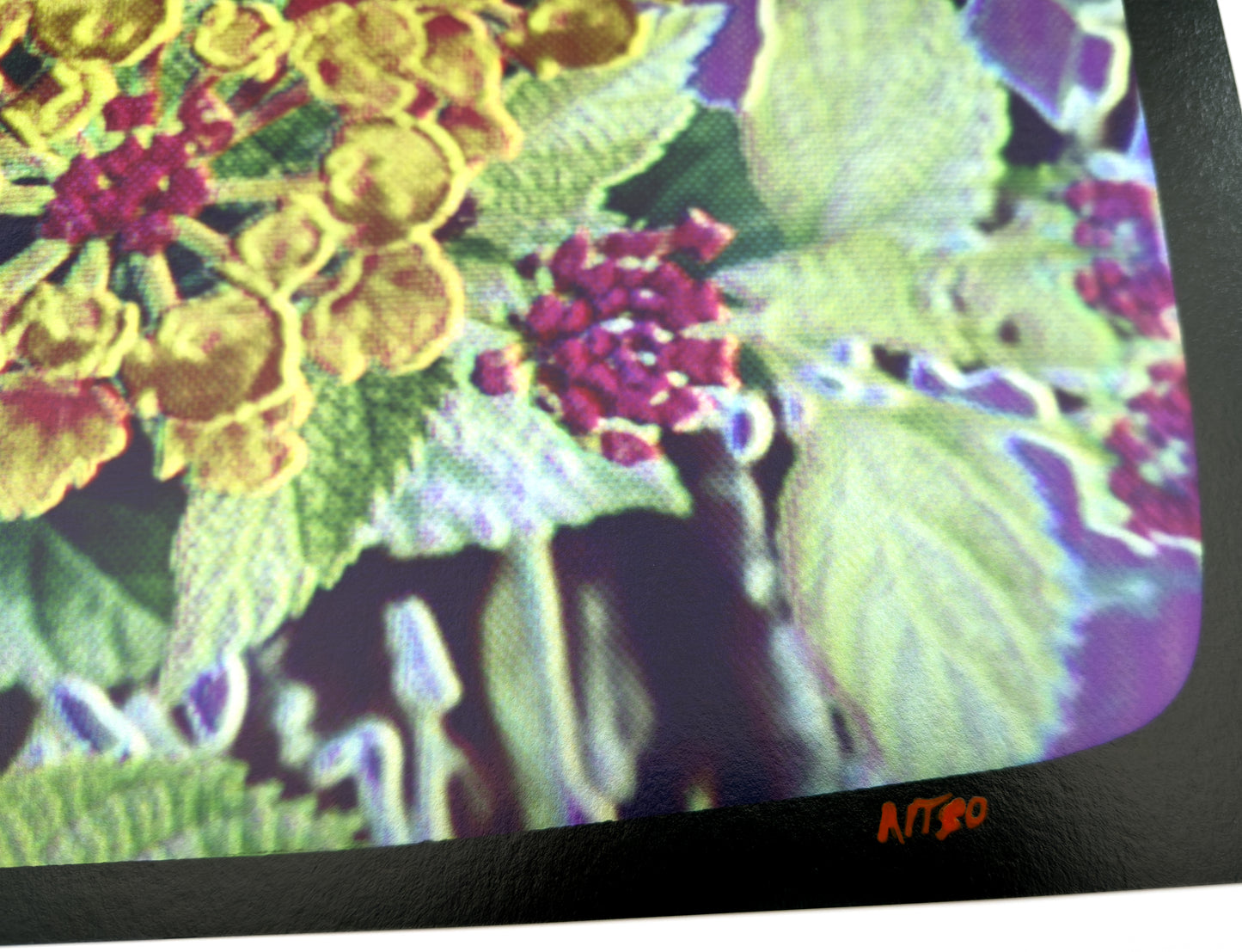 Flowers for Ikegami - FL21•G0423