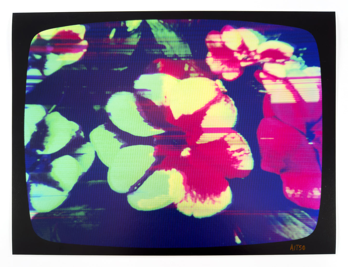 Flowers for Ikegami - FL36•G0750