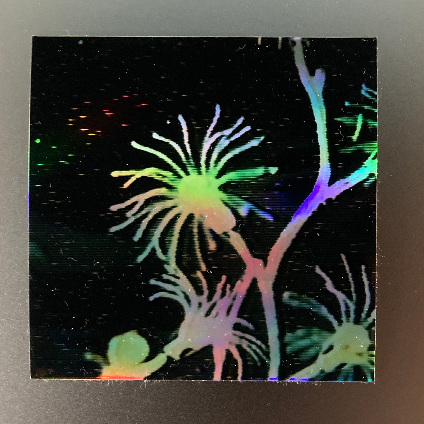 holographic underwater plant sticker
