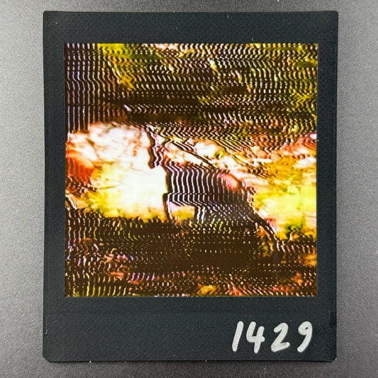 1429