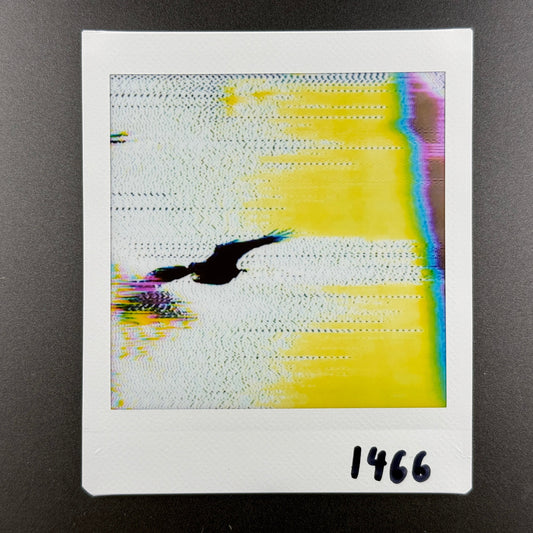 1466