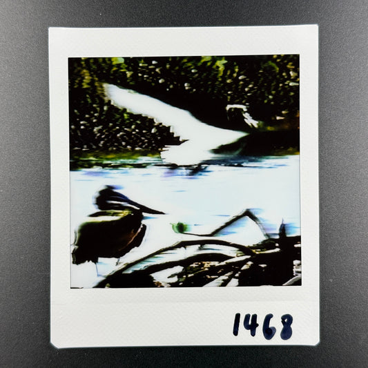 1468