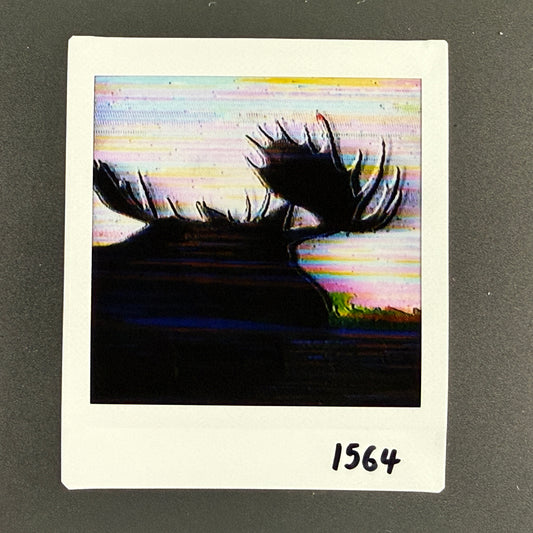 1564