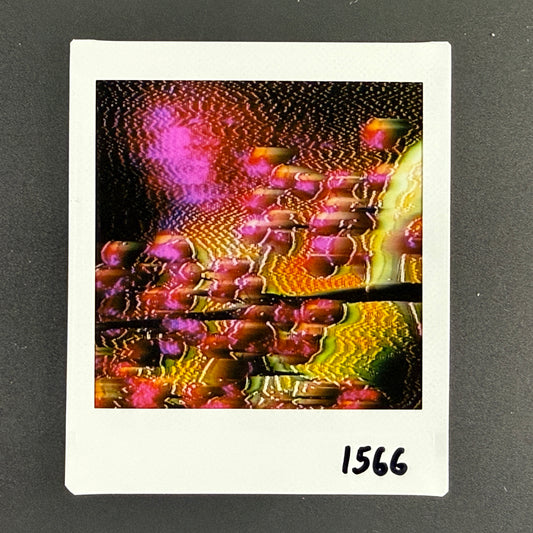 1566