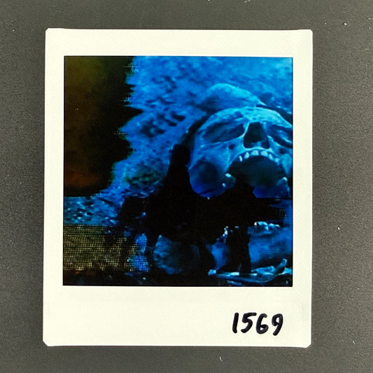 1569