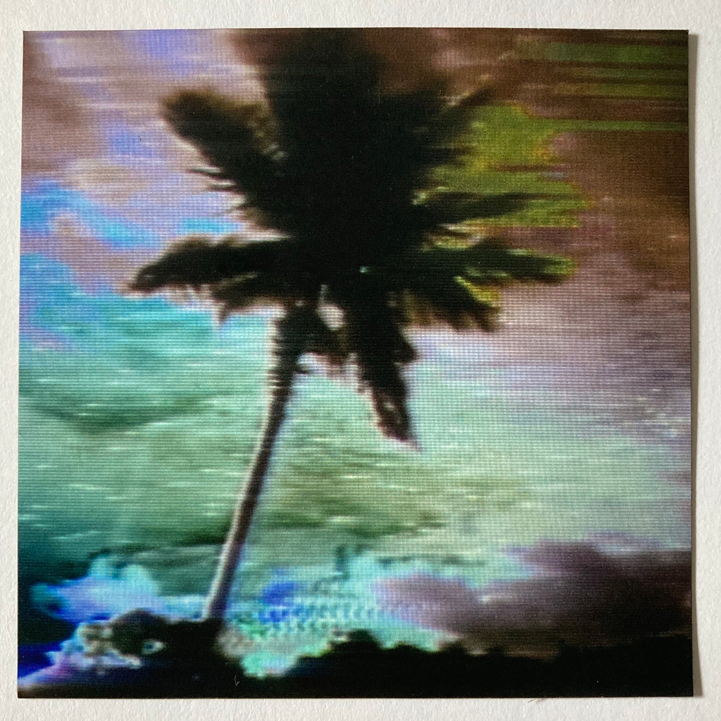 palm tree glitch magnet